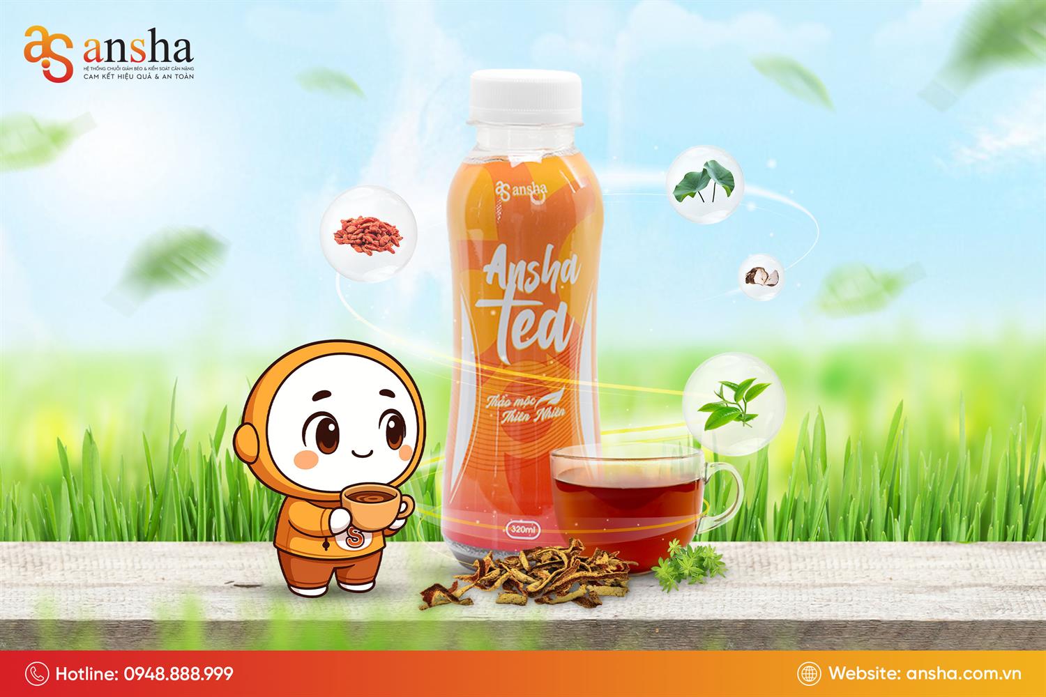Ansha Tea: Khỏe từ gốc - Kích hoạt cơ chế tự cân bằng của cơ thể